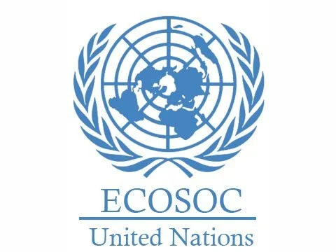About-Us-the-Paz-Foundation-ECOSOC